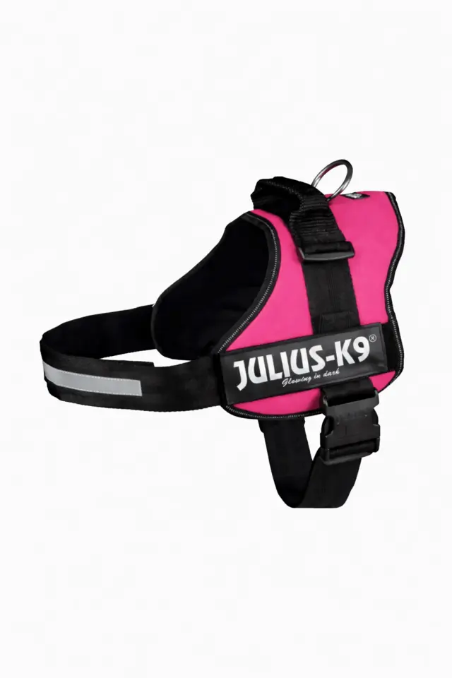 Catalog product photo of a black and pink dog harness